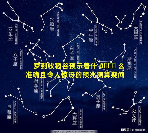 梦到收稻谷预示着什 🐝 么准确且令人惊讶的预兆测算疑问